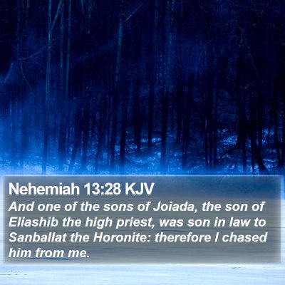 Nehemiah 13:28 KJV Bible Verse Image