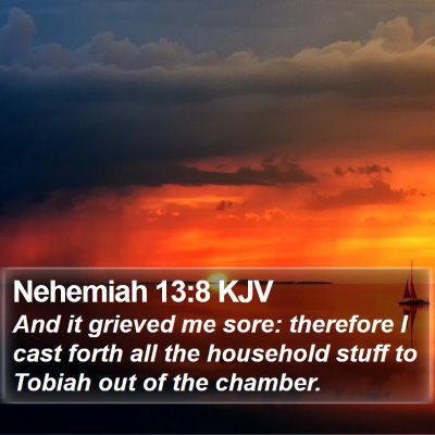 Nehemiah 13:8 KJV Bible Verse Image