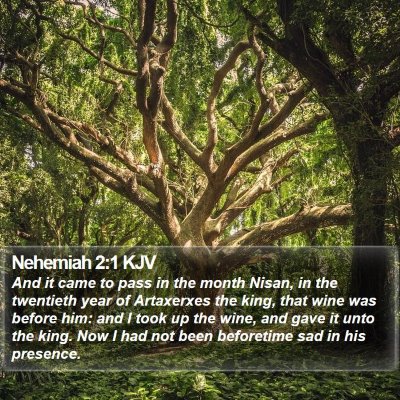 Nehemiah 2:1 KJV Bible Verse Image