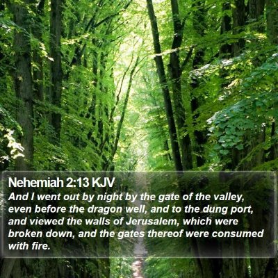 Nehemiah 2:13 KJV Bible Verse Image