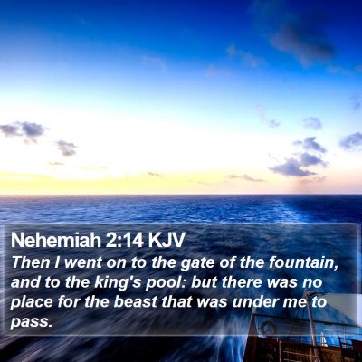 Nehemiah 2:14 KJV Bible Verse Image