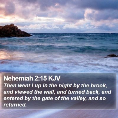 Nehemiah 2:15 KJV Bible Verse Image