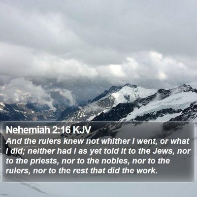 Nehemiah 2:16 KJV Bible Verse Image