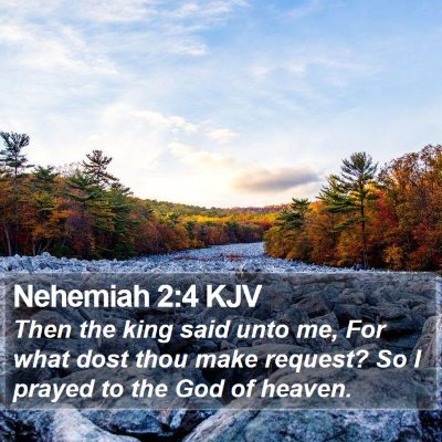 Nehemiah 2:4 KJV Bible Verse Image