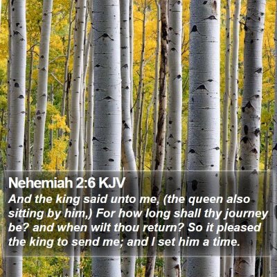 Nehemiah 2:6 KJV Bible Verse Image