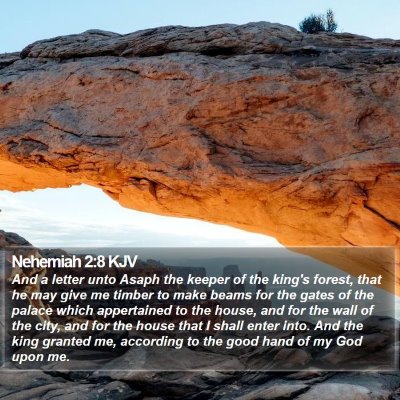 Nehemiah 2:8 KJV Bible Verse Image