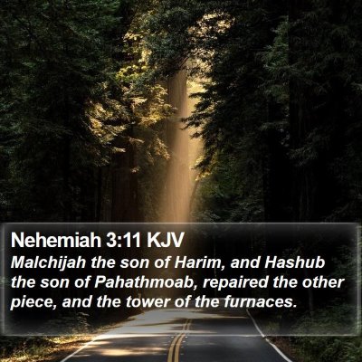 Nehemiah 3:11 KJV Bible Verse Image