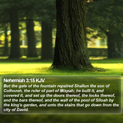 Nehemiah 3:15 KJV Bible Verse Image