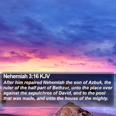 Nehemiah 3:16 KJV Bible Verse Image