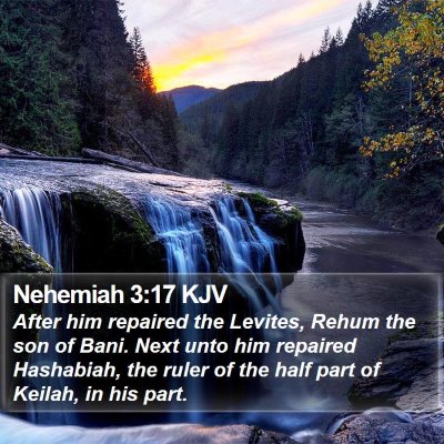 Nehemiah 3:17 KJV Bible Verse Image