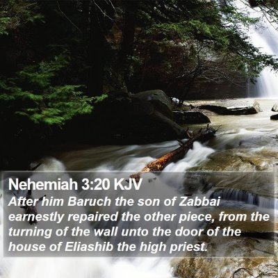Nehemiah 3:20 KJV Bible Verse Image