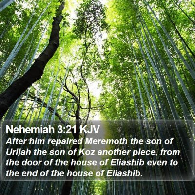 Nehemiah 3:21 KJV Bible Verse Image