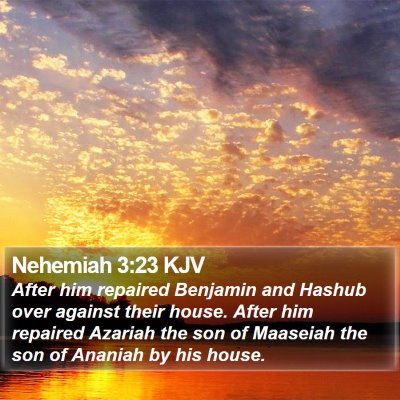 Nehemiah 3:23 KJV Bible Verse Image