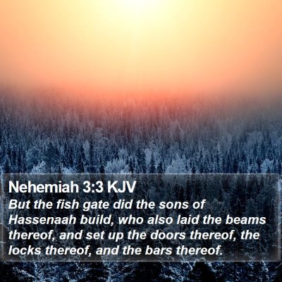 Nehemiah 3:3 KJV Bible Verse Image