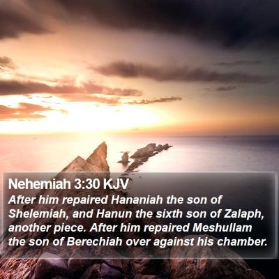 Nehemiah 3:30 KJV Bible Verse Image