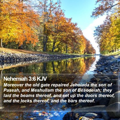 Nehemiah 3:6 KJV Bible Verse Image