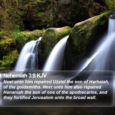Nehemiah 3:8 KJV Bible Verse Image