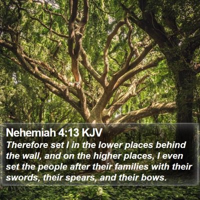 Nehemiah 4:13 KJV Bible Verse Image