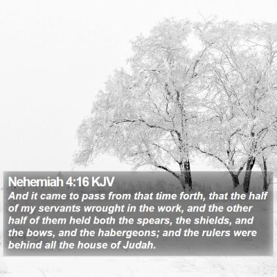 Nehemiah 4:16 KJV Bible Verse Image