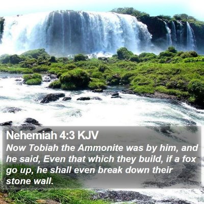 Nehemiah 4:3 KJV Bible Verse Image