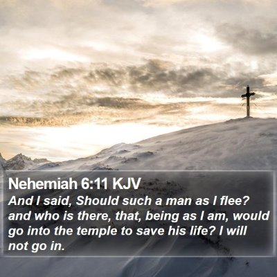 Nehemiah 6:11 KJV Bible Verse Image