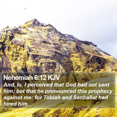 Nehemiah 6:12 KJV Bible Verse Image