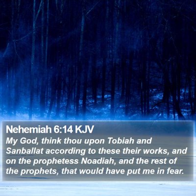 Nehemiah 6:14 KJV Bible Verse Image