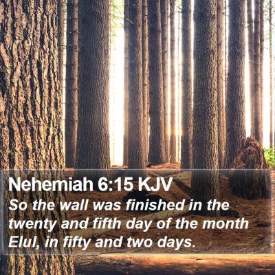 Nehemiah 6:15 KJV Bible Verse Image