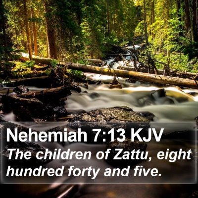 Nehemiah 7:13 KJV Bible Verse Image
