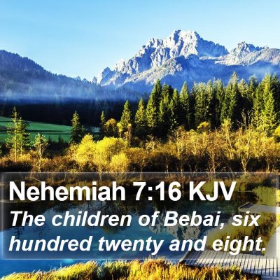 Nehemiah 7:16 KJV Bible Verse Image