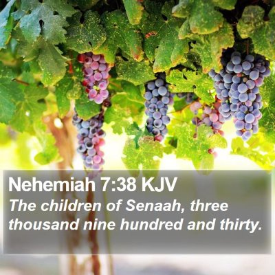 Nehemiah 7:38 KJV Bible Verse Image