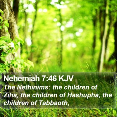 Nehemiah 7:46 KJV Bible Verse Image