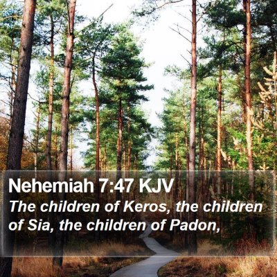 Nehemiah 7:47 KJV Bible Verse Image