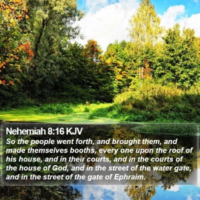 Nehemiah 8:16 KJV Bible Verse Image