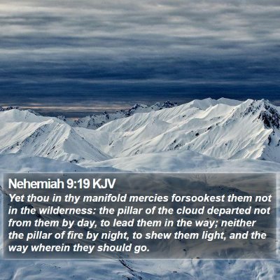 Nehemiah 9:19 KJV Bible Verse Image