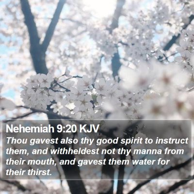 Nehemiah 9:20 KJV Bible Verse Image