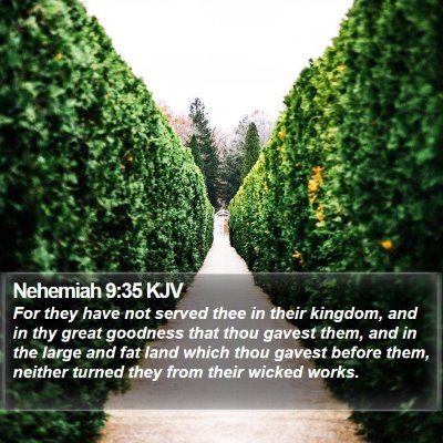 Nehemiah 9:35 KJV Bible Verse Image