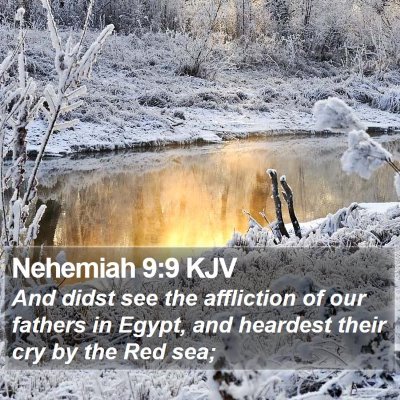 Nehemiah 9:9 KJV Bible Verse Image