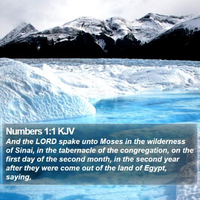 Numbers 1:1 KJV Bible Verse Image