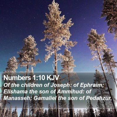 Numbers 1:10 KJV Bible Verse Image