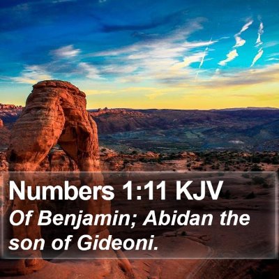 Numbers 1:11 KJV Bible Verse Image