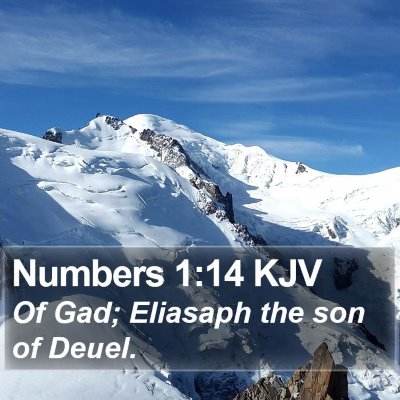 Numbers 1:14 KJV Bible Verse Image