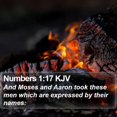 Numbers 1:17 KJV Bible Verse Image