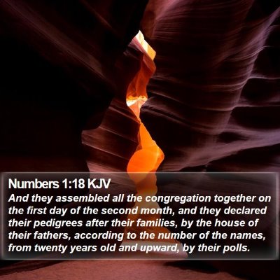 Numbers 1:18 KJV Bible Verse Image