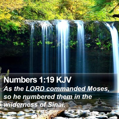 Numbers 1:19 KJV Bible Verse Image