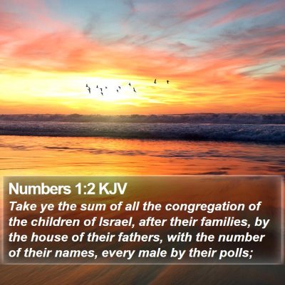 Numbers 1:2 KJV Bible Verse Image