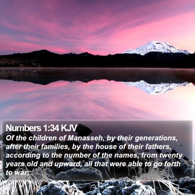 Numbers 1:34 KJV Bible Verse Image