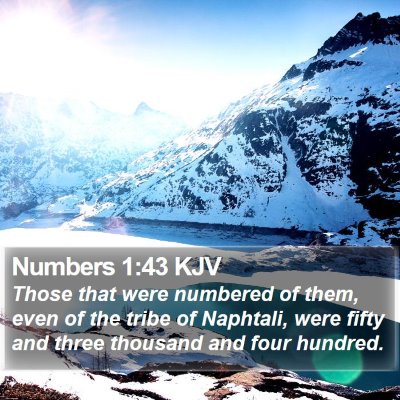 Numbers 1:43 KJV Bible Verse Image
