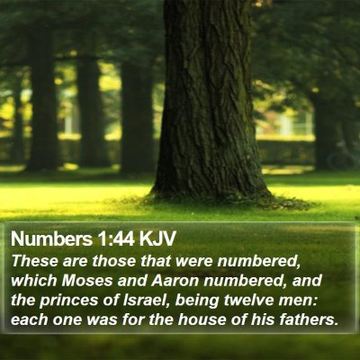 Numbers 1:44 KJV Bible Verse Image
