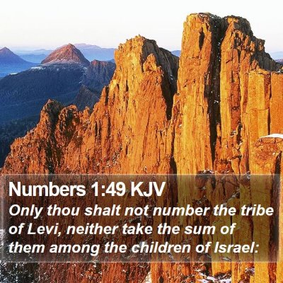 Numbers 1:49 KJV Bible Verse Image